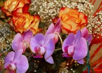 Jigsaw Puzzle Roses and orchids