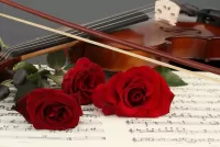 Jigsaw Puzzle Roses and violin