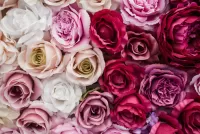 パズル Roses from fabric