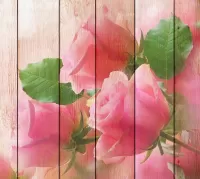 Jigsaw Puzzle Roses on the boards
