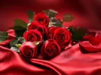 Zagadka Roses on red