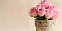 Bulmaca rozi rozvie
