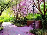 Jigsaw Puzzle Pink alley