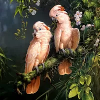 Jigsaw Puzzle pink cockatoos