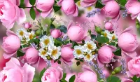 Slagalica Pink roses