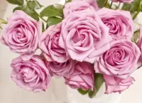 Puzzle Pink roses