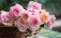 Rompecabezas Pink roses