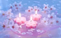 Пазл Розовые свечи