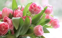 Quebra-cabeça Pink tulips