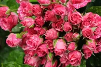 Quebra-cabeça Pink bouquet