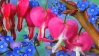 Quebra-cabeça pink blue flowers