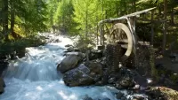Bulmaca Stream in the forest