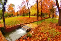 Zagadka Stream in the park