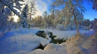 Quebra-cabeça The Creek in winter