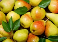 Slagalica Rosy pears