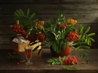 Jigsaw Puzzle With rowanberry liqueur