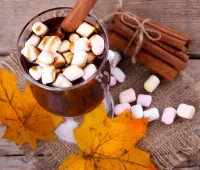 Puzzle With marshmallows and cinnamon