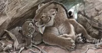 Jigsaw Puzzle Saber-toothed family