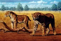 Quebra-cabeça Saber-toothed tigers