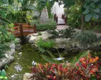 Rompecabezas A garden with a pond