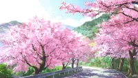 Quebra-cabeça Sakura