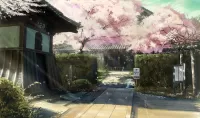 Quebra-cabeça Sakura at home