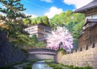 Quebra-cabeça Sakura at the bridge