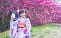 Zagadka Sakura in bloom