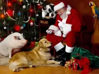 Пазл Санта и животные