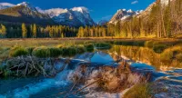 Puzzle Sawtooth Forest