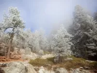 Пазл Седой туман