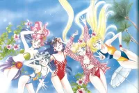 Bulmaca Sailor moon summer
