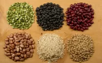 Puzzle seeds and cereals