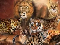 Jigsaw Puzzle Cat family