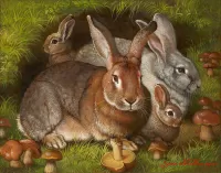 Quebra-cabeça Rabbits