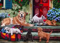 Quebra-cabeça Family Labradors