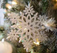 Puzzle Silvery snowflake