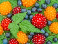 Jigsaw Puzzle Northern berries