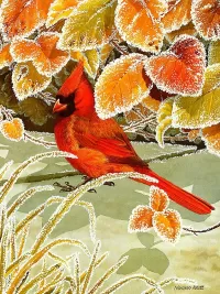 Слагалица Severniy kardinal