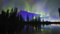 Jigsaw Puzzle Northern lights