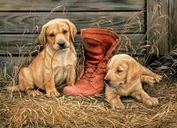 Слагалица Puppies and shoes