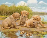 Quebra-cabeça Puppies and ducklings