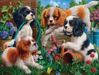 Puzzle Puppies in the garden