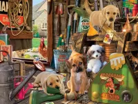 Puzzle Puppies in the barn