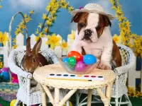 Jigsaw Puzzle Puppy and rabbit