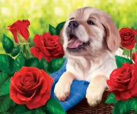 パズル Puppy and roses