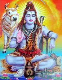 Quebra-cabeça Shiva