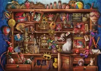 Puzzle Closet with toys