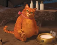 Slagalica Fat cat