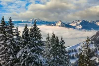 Zagadka Swiss winter